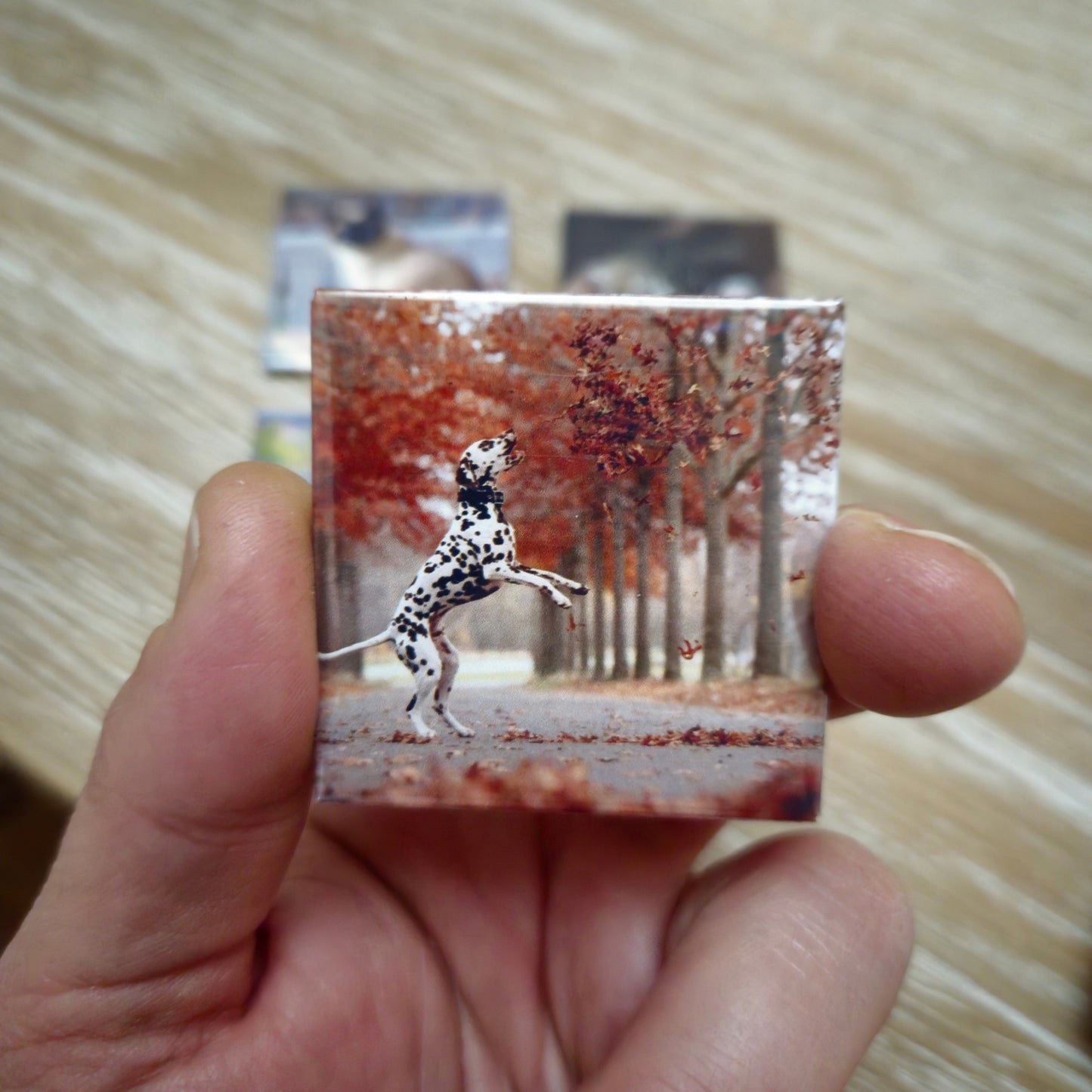 Magneti Fotografici 5x5