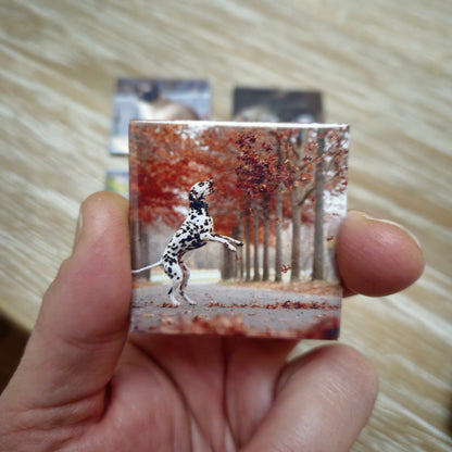 Magneti Fotografici 5x5