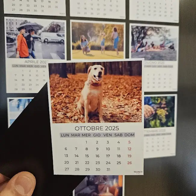 Calendario 2025 Magnetico